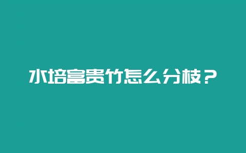 水培富贵竹怎么分枝？-会东网