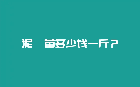 泥鳅苗多少钱一斤？-会东网
