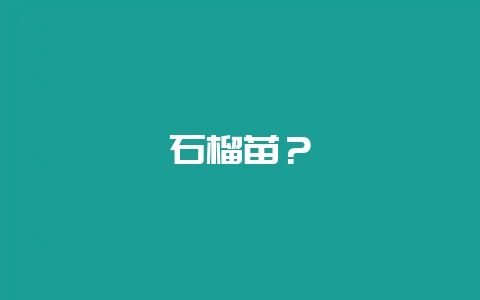 石榴苗？-会东网