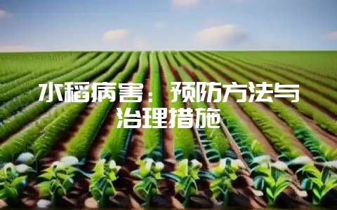 水稻病害：预防方法与治理措施-会东网