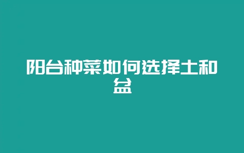 阳台种菜如何选择土和盆-会东网