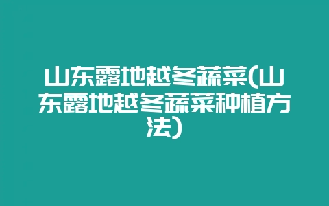 山东露地越冬蔬菜(山东露地越冬蔬菜种植方法)-会东网