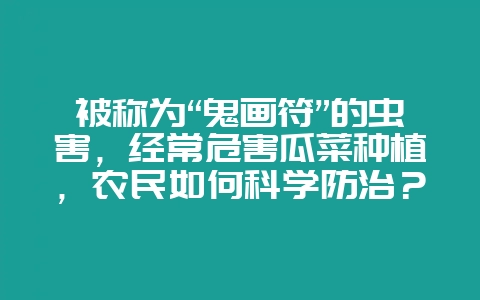 被称为“鬼画符”的虫害，经常危害瓜菜种植，农民如何科学防治？-会东网