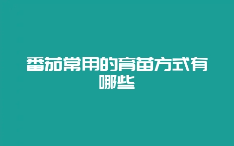 番茄常用的育苗方式有哪些-会东网