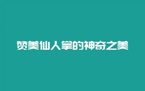 赞美仙人掌的神奇之美-会东网