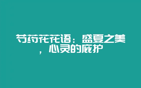 芍药花花语：盛夏之美，心灵的庇护-会东网