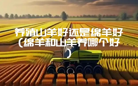 养殖山羊好还是绵羊好(绵羊和山羊养哪个好)-会东网