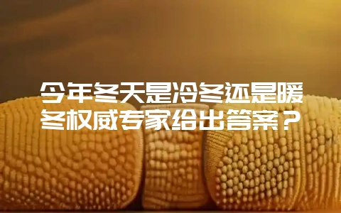 今年冬天是冷冬还是暖冬权威专家给出答案？-会东网