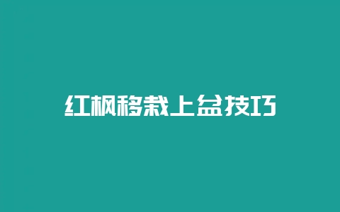 红枫移栽上盆技巧-会东网