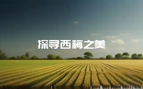 探寻西梅之美-会东网
