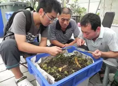 蚯蚓养殖场地建设注意事项-会东网