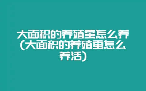 大面积的养殖蚕怎么养(大面积的养殖蚕怎么养活)-会东网