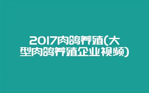 2017肉鸽养殖(大型肉鸽养殖企业视频)-会东网