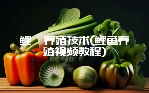鲤鳅养殖技术(鲤鱼养殖视频教程)-会东网