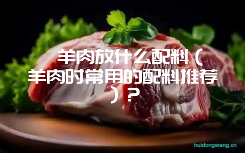 焖羊肉放什么配料(焖羊肉时常用的配料推荐)?-会东网