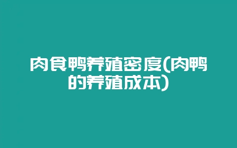肉食鸭养殖密度(肉鸭的养殖成本)-会东网