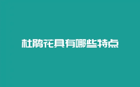 杜鹃花具有哪些特点-会东网