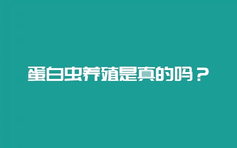 蛋白虫养殖是真的吗？-会东网