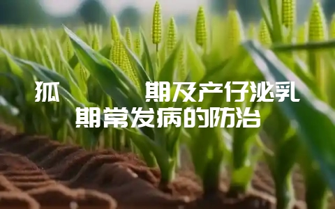狐貉妊娠期及产仔泌乳期常发病的防治-会东网