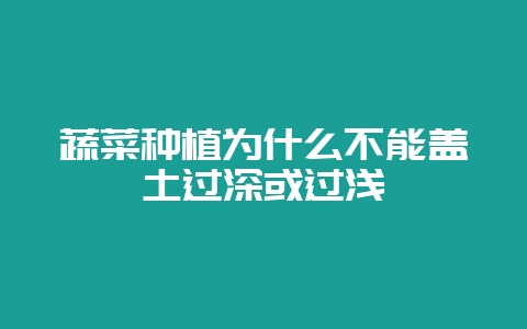 蔬菜种植为什么不能盖土过深或过浅-会东网