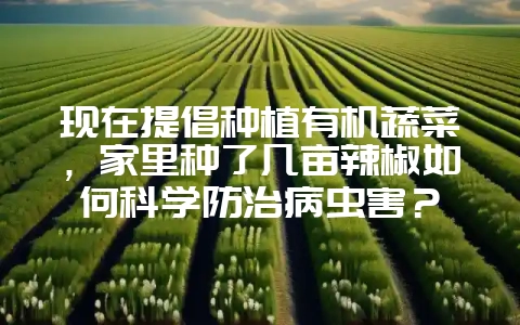 现在提倡种植有机蔬菜，家里种了几亩辣椒如何科学防治病虫害？-会东网