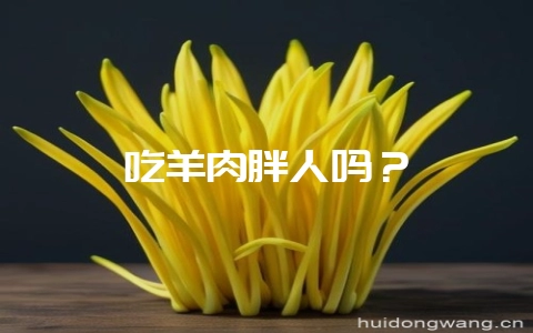 吃羊肉胖人吗?插图 吃羊肉胖人吗?插图