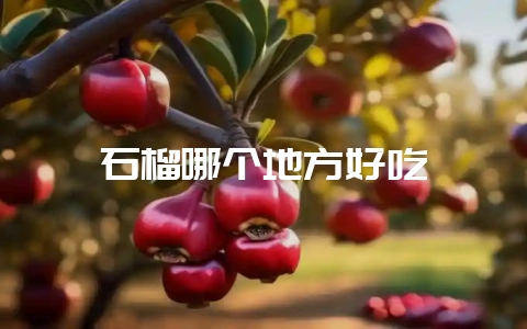 石榴哪个地方好吃插图 石榴哪个地方好吃插图