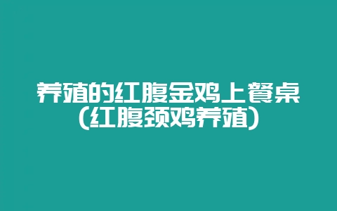 养殖的红腹金鸡上餐桌(红腹颈鸡养殖)-会东网