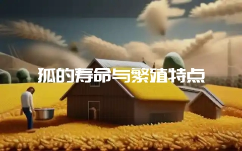狐的寿命与繁殖特点-会东网