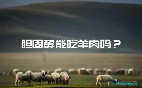 胆固醇能吃羊肉吗?-会东网