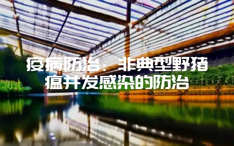 疫病防治：非典型野猪瘟并发感染的防治-会东网