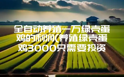 全自动养殖一万绿壳蛋鸡的利润(养殖绿壳蛋鸡3000只需要投资多少)-会东网