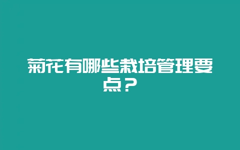 菊花有哪些栽培管理要点?-会东网