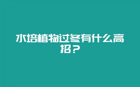 水培植物过冬有什么高招？-会东网