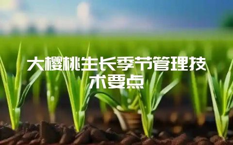 大樱桃生长季节管理技术要点-会东网