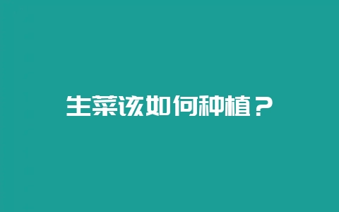 生菜该如何种植？-会东网