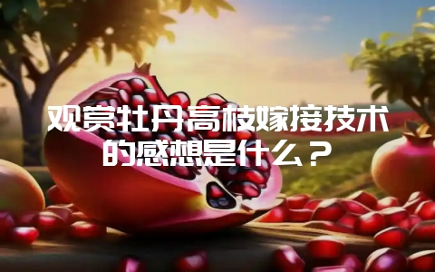 观赏牡丹高枝嫁接技术的感想是什么？-会东网