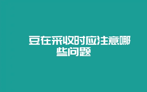 豇豆在采收时应注意哪些问题-会东网