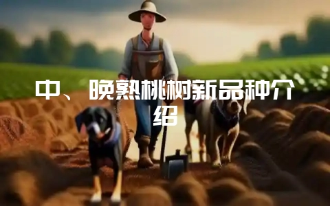 中、晚熟桃树新品种介绍-会东网