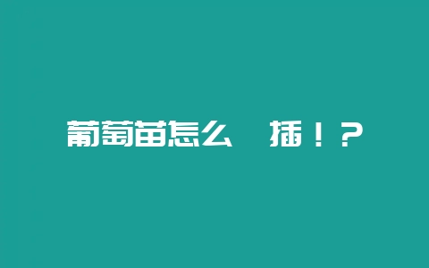 葡萄苗怎么扦插!?-会东网