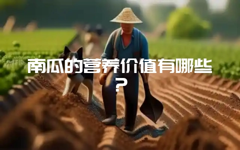 南瓜的营养价值有哪些？-会东网