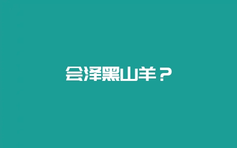 会泽黑山羊？-会东网