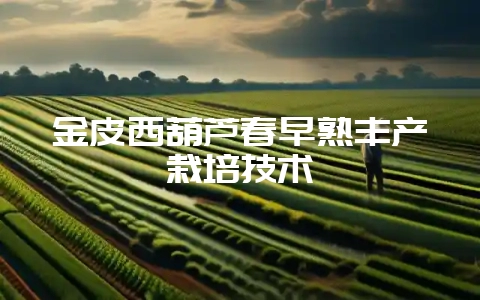 金皮西葫芦春早熟丰产栽培技术-会东网