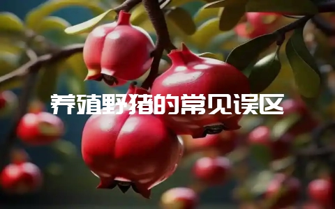 养殖野猪的常见误区插图 养殖野猪的常见误区插图