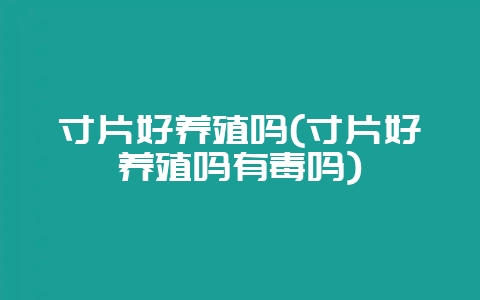 寸片好养殖吗(寸片好养殖吗有毒吗)-会东网