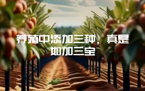 养殖中添加三种,真是如加三宝-会东网