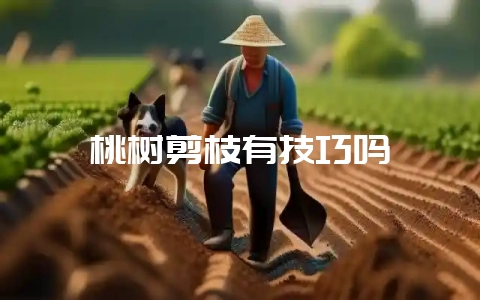 桃树剪枝有技巧吗-会东网