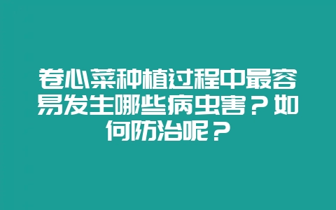 卷心菜种植过程中最容易发生哪些病虫害？如何防治呢？-会东网