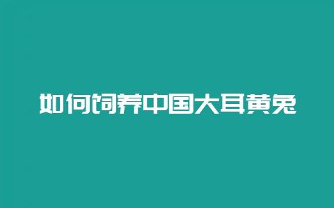 如何饲养中国大耳黄兔-会东网
