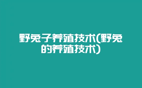 野兔子养殖技术(野兔的养殖技术)-会东网